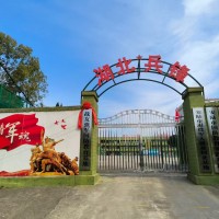 湖北兵峰素质教育学校