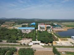 全景
