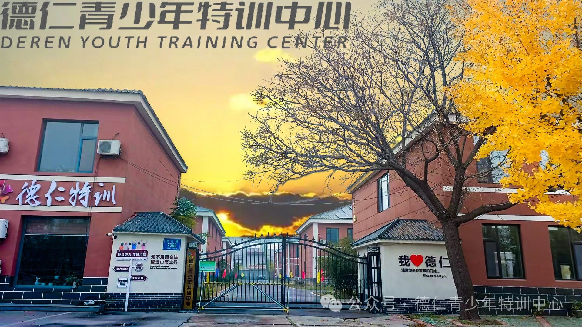 山东麦尖教育咨询有限公司