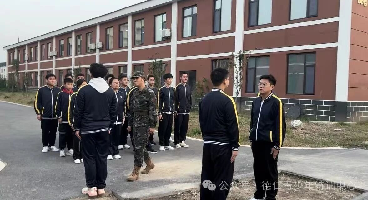 3 个月特训营