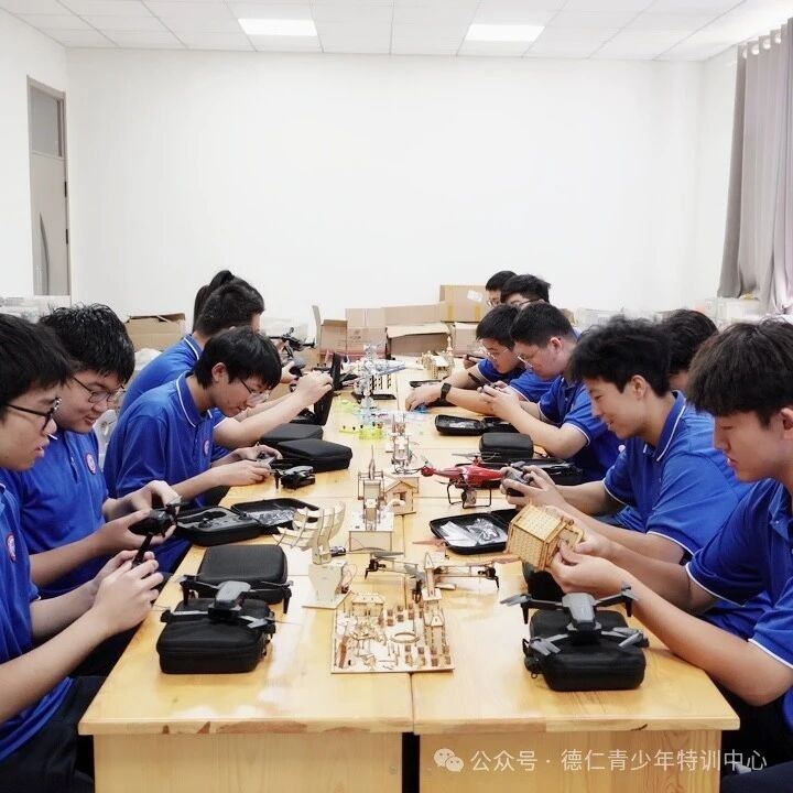 6个月特训营